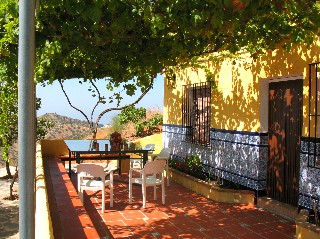 Auf der weinumrankten Terrasse steht ein gro�es Glastisch