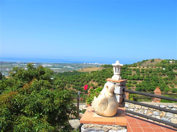 Blick in richtung Salobre�a