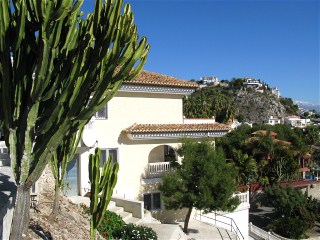 Der Garten ist mit Kakteen und tropischn Bumen bepflanzt