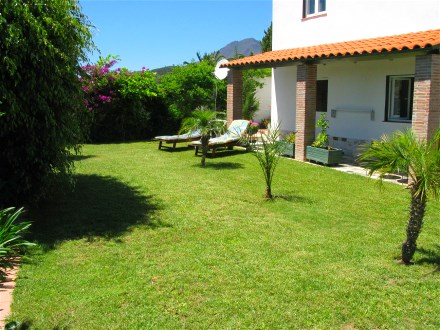 Direkt vor dem Appartement befindet sich die Liegwiese